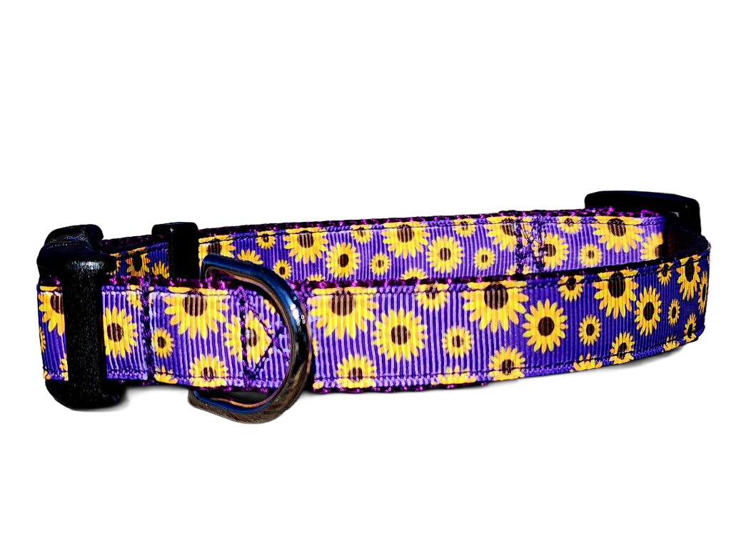 3/4" Daisy Dog Collar or Leash