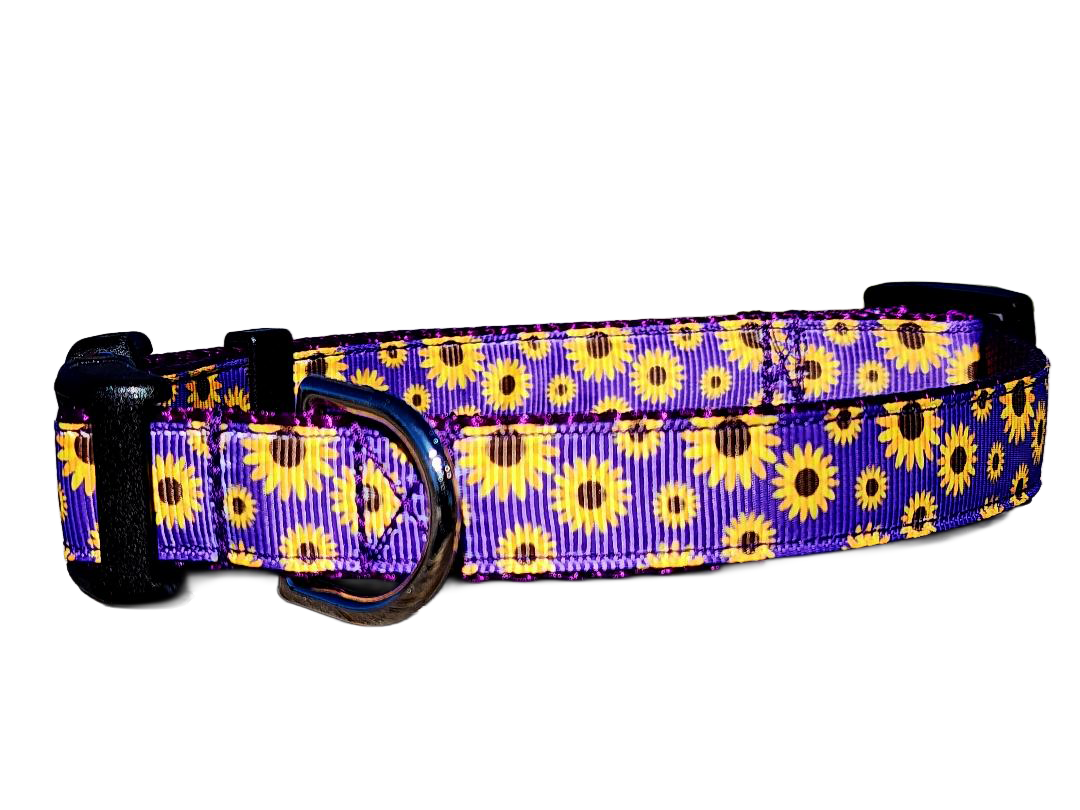 3/4" Daisy Dog Collar or Leash