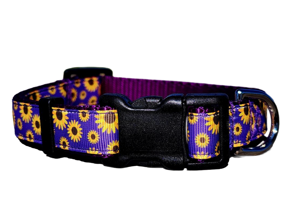 3/4" Daisy Dog Collar or Leash