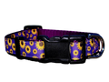 3/4" Daisy Dog Collar or Leash
