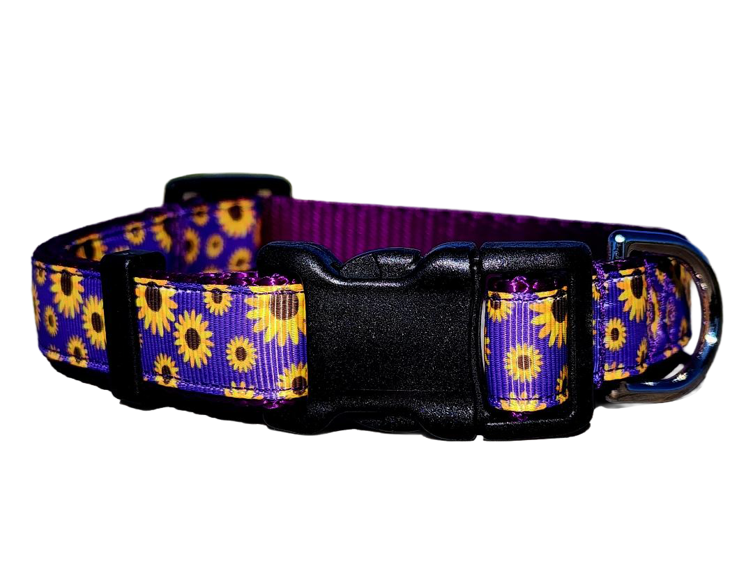 3/4" Daisy Dog Collar or Leash