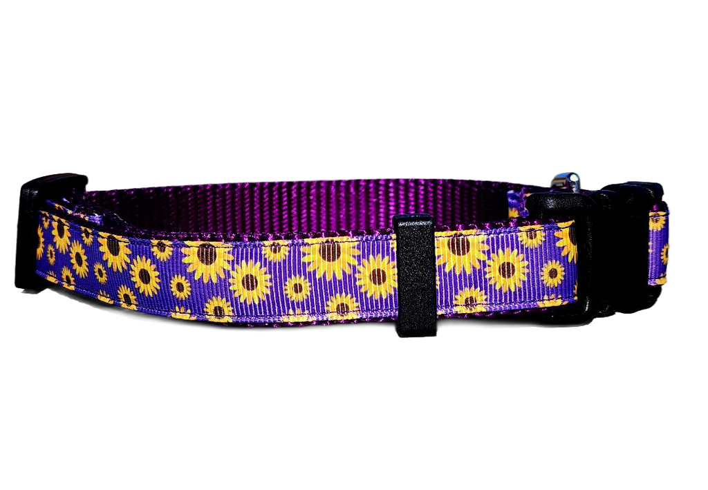 3/4" Daisy Dog Collar or Leash