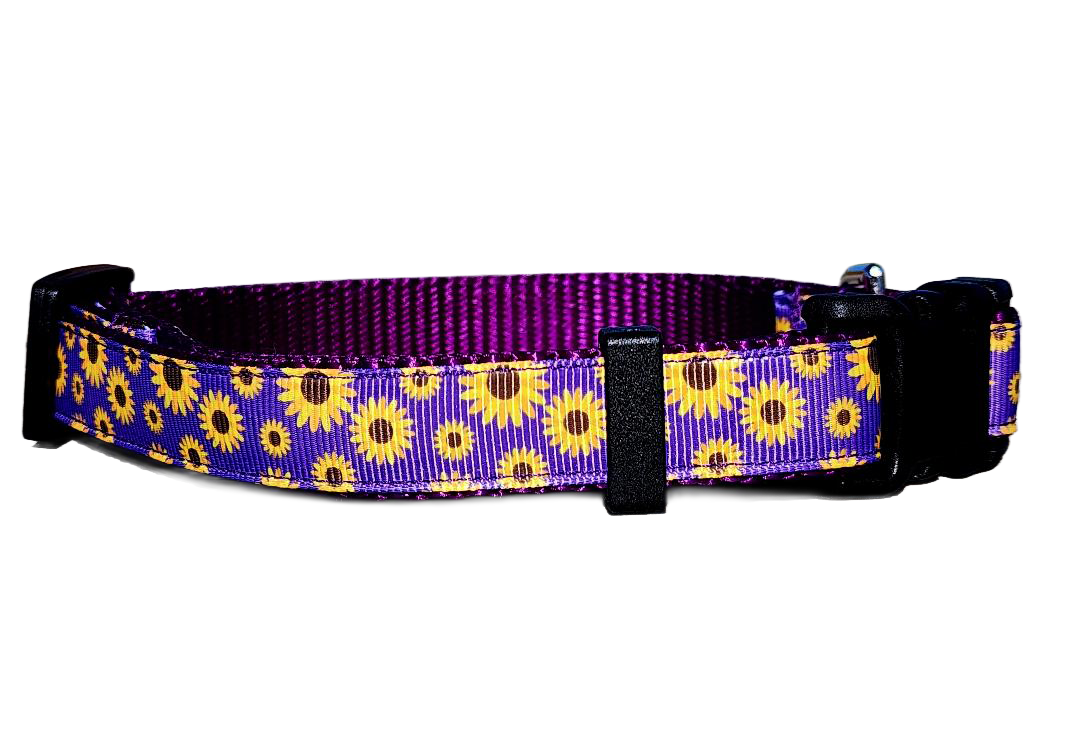 3/4" Daisy Dog Collar or Leash