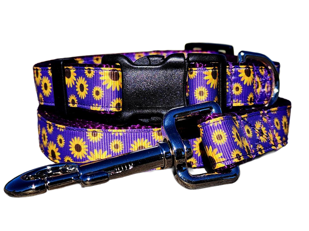 3/4" Daisy Dog Collar or Leash