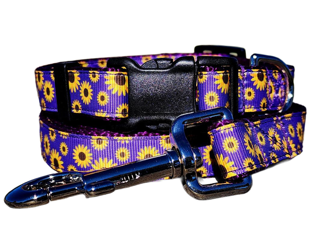 3/4" Daisy Dog Collar or Leash