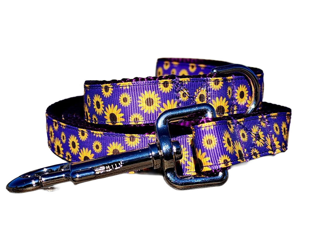 3/4" Daisy Dog Collar or Leash