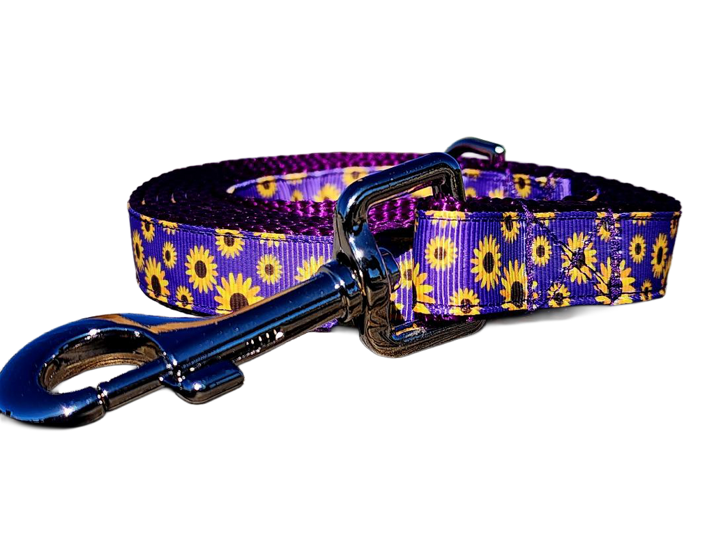 3/4" Daisy Dog Collar or Leash