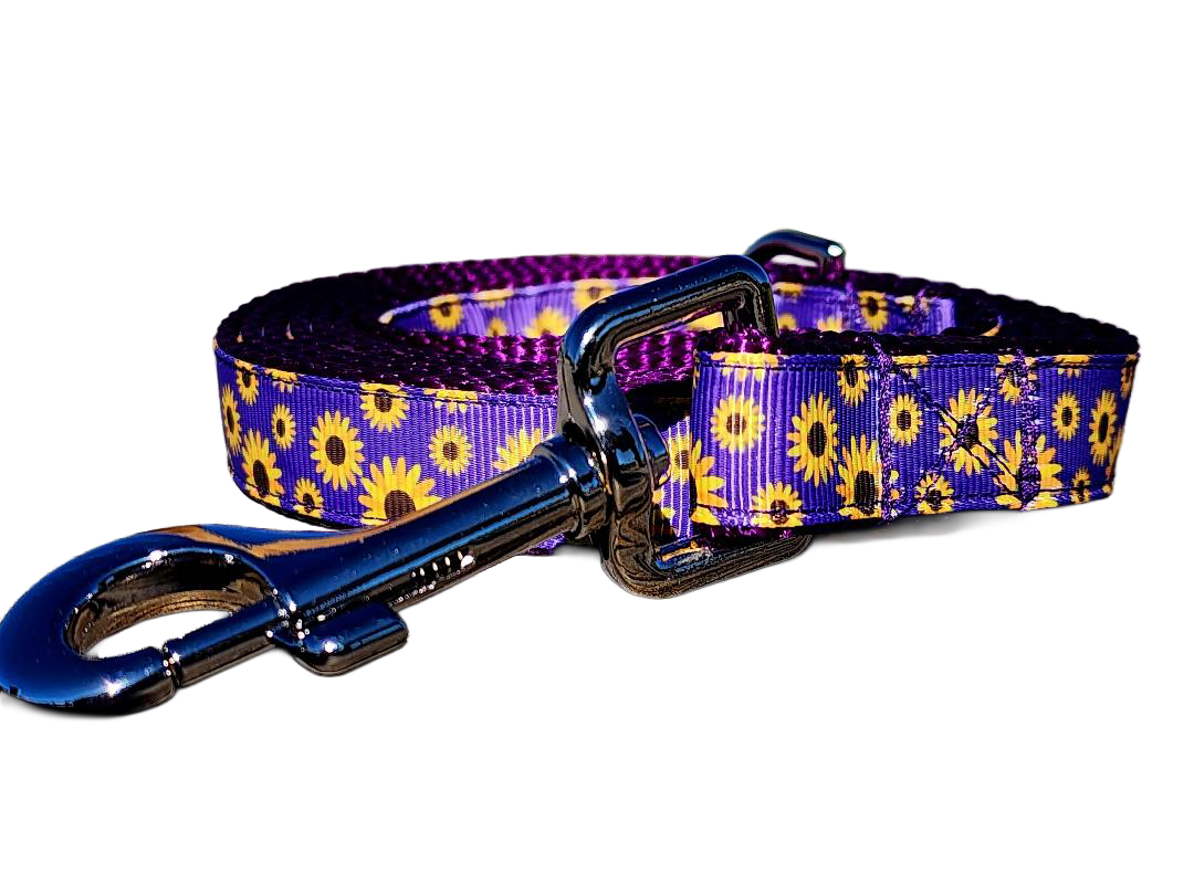 3/4" Daisy Dog Collar or Leash