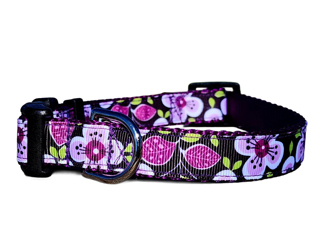 3/4" Purple Flower Dog Collar or Leash
